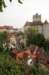 dsc_8432_small.jpg