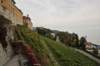 dsc_8467_small.jpg