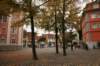 dsc_8474_small.jpg