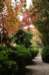 dsc_8527_small.jpg