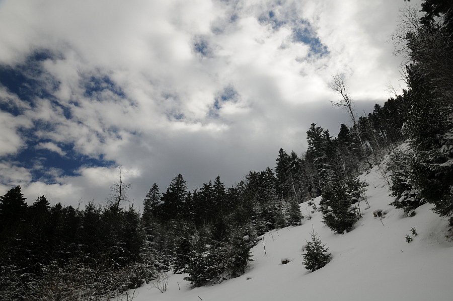 dsc_9269.jpg