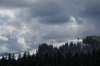 dsc_9340_small.jpg