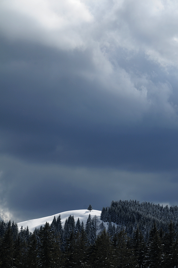 dsc_9347e.jpg