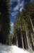 dsc_9417_small.jpg
