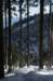 dsc_9420_small.jpg