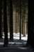 dsc_9423_small.jpg