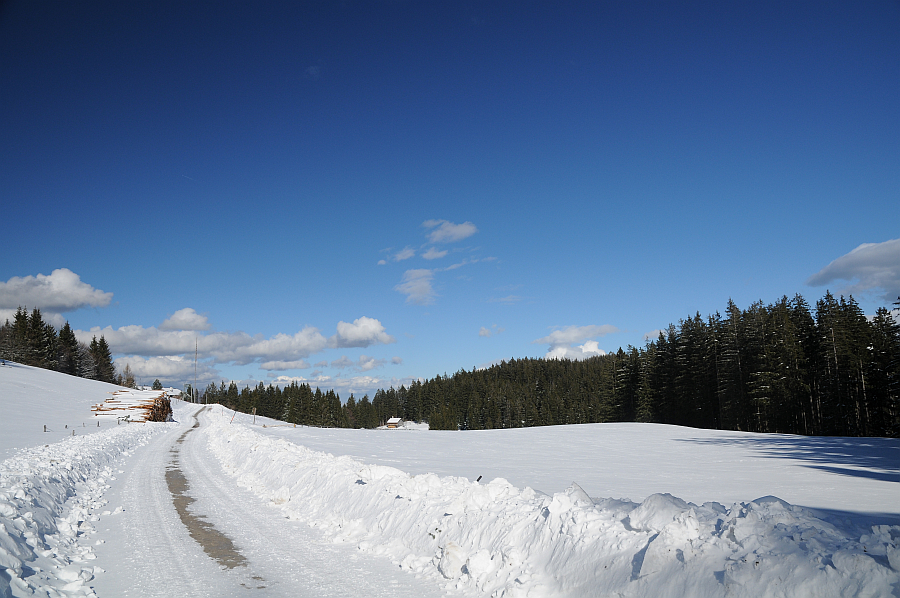 dsc_9433.jpg