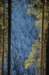 dsc_9473_small.jpg