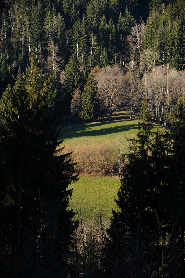 dsc_9510.jpg