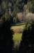 dsc_9510_small.jpg