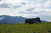 dsc_9603_small.jpg